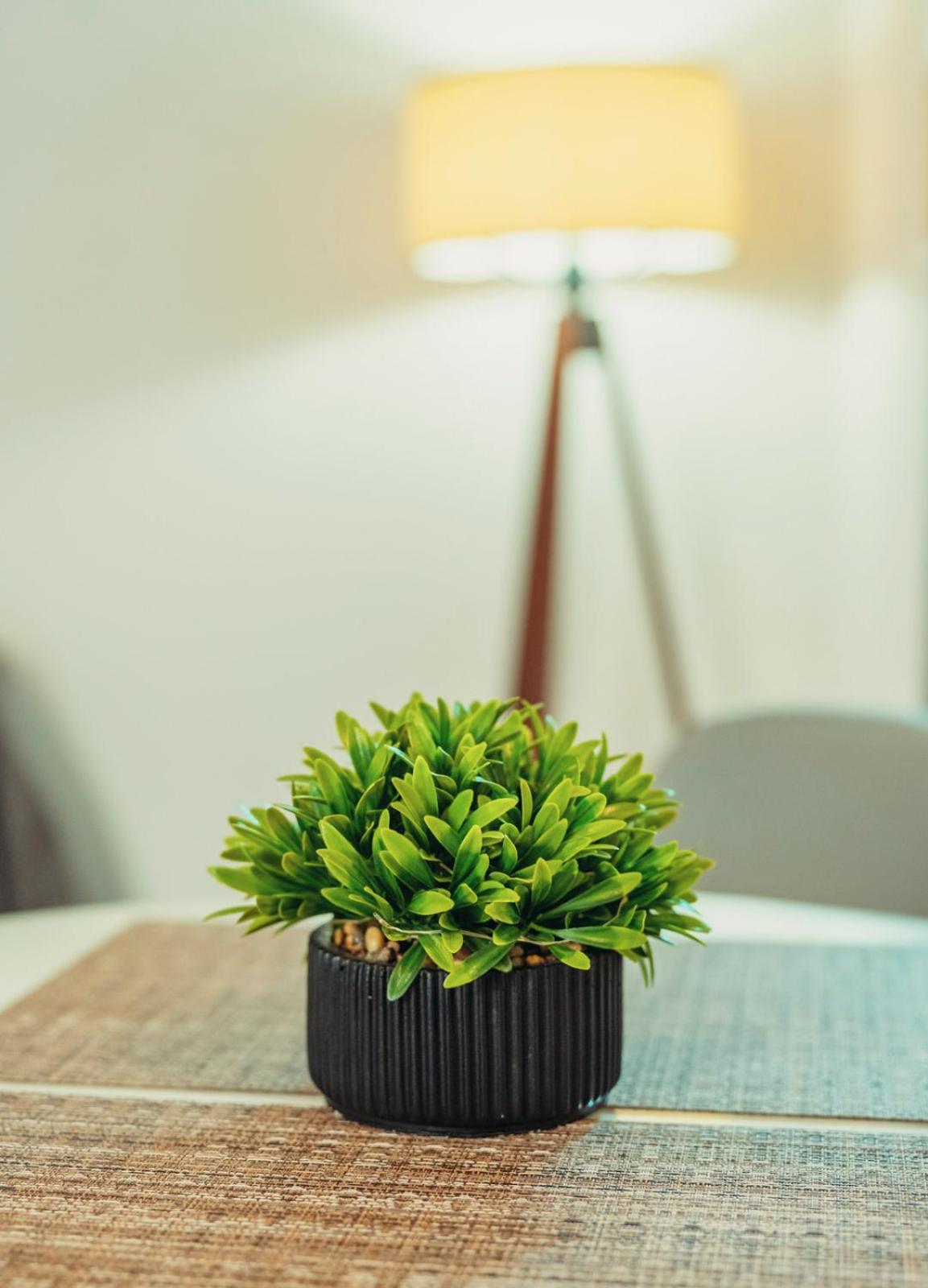 Crystal Cherry Apartment プレベザ エクステリア 写真